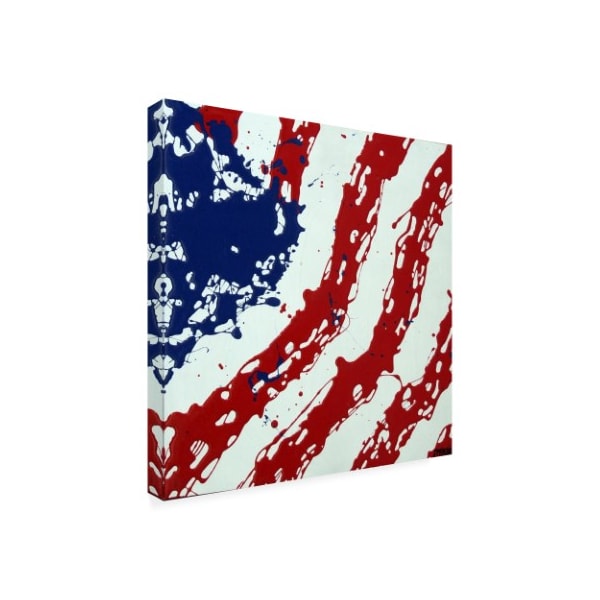 Roderick Stevens 'American Flag Splash' Canvas Art,18x18